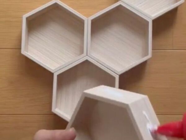 １００均のウッドスタイルヘキサゴン、くっ付けていくと…　できたものに「天才！」