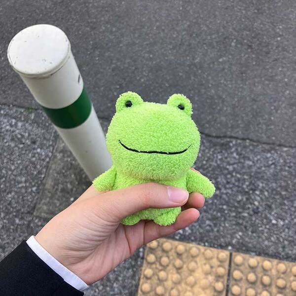 入社式の日、ぬいぐるみを撮った新社会人　１年前からの変化に「うるっとする」「応援したい」