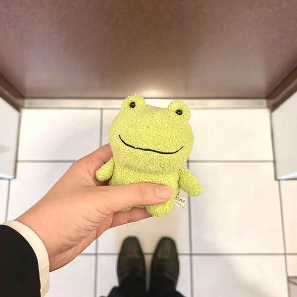 入社式の日、ぬいぐるみを撮った新社会人　１年前からの変化に「うるっとする」「応援したい」