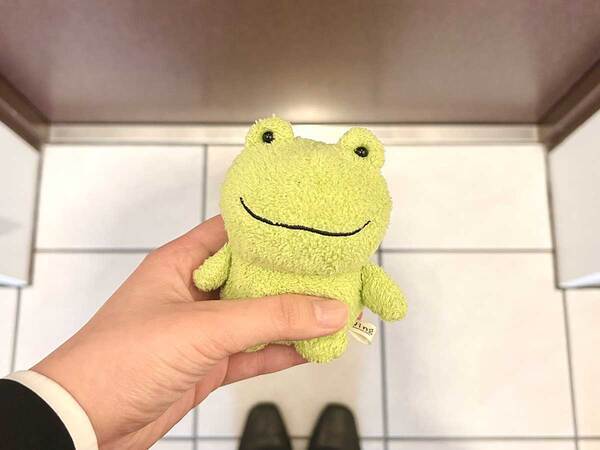 入社式の日、ぬいぐるみを撮った新社会人　１年前からの変化に「うるっとする」「応援したい」