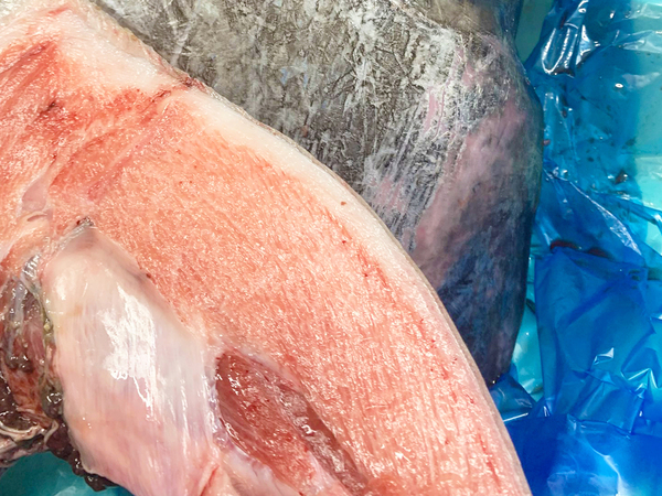 「孫になりたいよ…」　祖父が用意した『入園祝い』に絶賛の声が続出