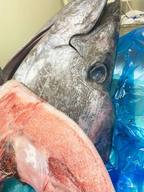 「孫になりたいよ…」　祖父が用意した『入園祝い』に絶賛の声が続出