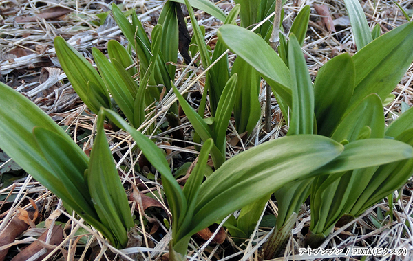 厚労省「気を付けて！」　注意喚起に「どっちか分からない」「間違えそう」