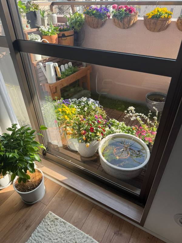 「まるで絵本の１ページ」「ずっと眺めていたい」　部屋の中から外を見ると…？