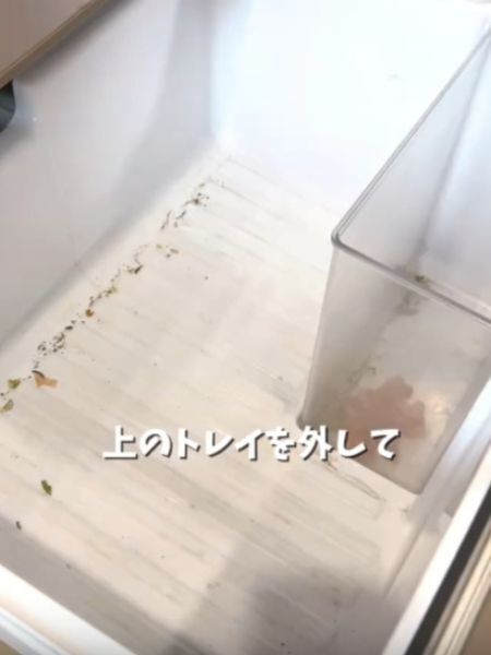 冷蔵庫の『野菜室』をきれいにするなら？　効果的な掃除法に「知らなかった」