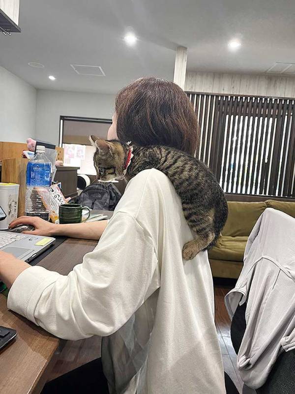 従業員「猫のいる会社なので…」　休憩中の光景に「けしからん！」「転職したい」