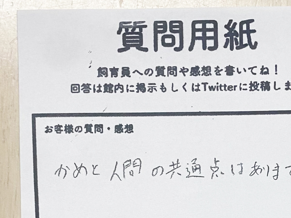 「カメと人間の共通点は？」に飼育員が回答　「思わず唸った」「座布団１００枚！」