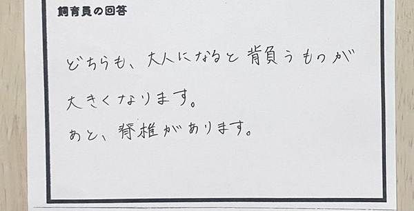 「カメと人間の共通点は？」に飼育員が回答　「思わず唸った」「座布団１００枚！」