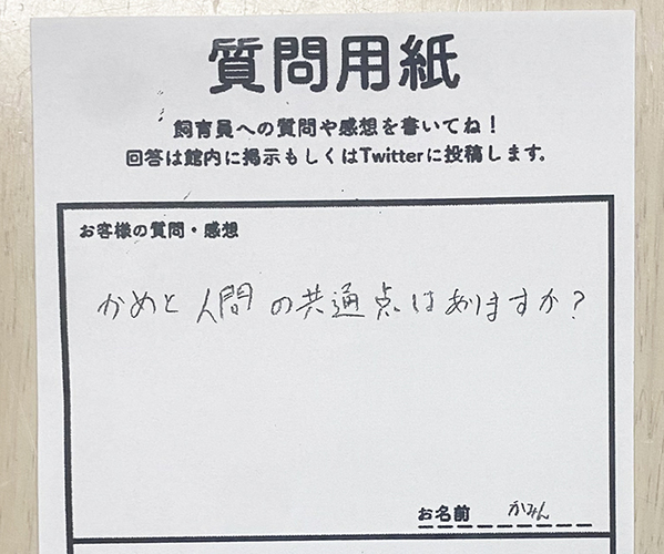 「カメと人間の共通点は？」に飼育員が回答　「思わず唸った」「座布団１００枚！」