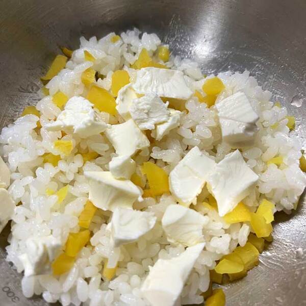 JA全農「農家さんに教えてもらった」　おにぎりレシピに絶賛の声！