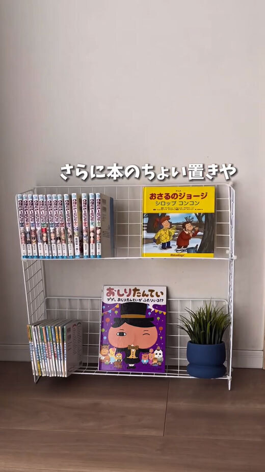 ワイヤーネットと結束バンドで…　まさかの活用術に「発想がすごい」「天才か？」