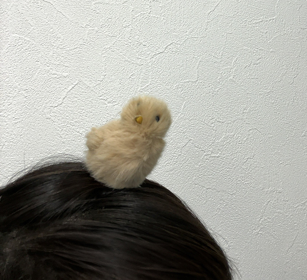 ダイソーで買った『鳥の置物』　女性の活用法に「天才か？」「よし、自分もやるか」