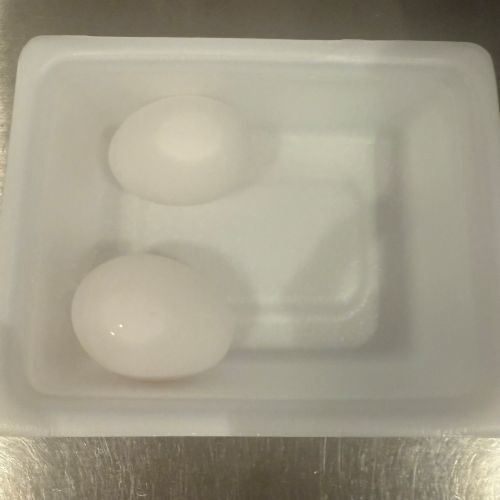 まだ捨てないで！　『ペヤングソースやきそば』の空き容器で作るレシピ