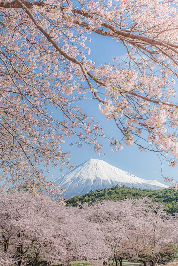 「最も美しい組み合わせです」　静岡県での１枚に、ネットが感動