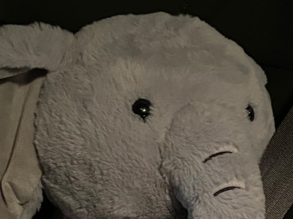 リサイクルショップで見つけたぬいぐるみを…　使い道に「仲間がいた」「なんてかわいいの」