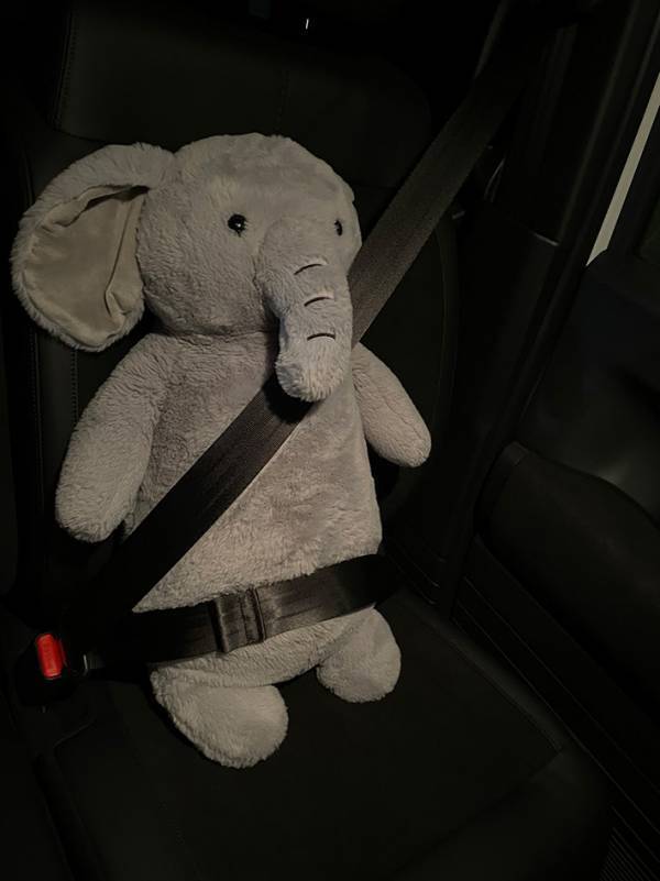 リサイクルショップで見つけたぬいぐるみを…　使い道に「仲間がいた」「なんてかわいいの」