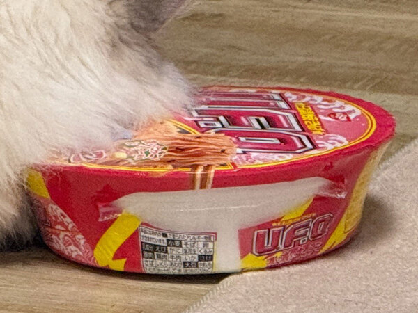 床に置いていた『カップ焼きそば』が…「自由すぎて大爆笑！」