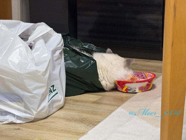 床に置いていた『カップ焼きそば』が…「自由すぎて大爆笑！」