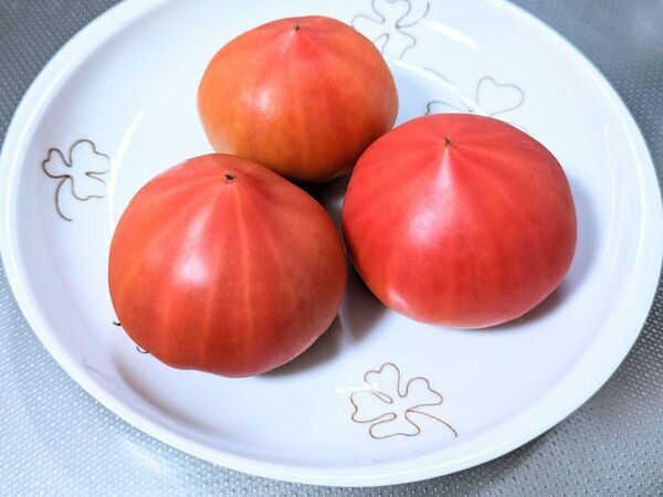 トマトを保存する時はヘタが上？下？　正解に「マジか」「勘違いしてた」