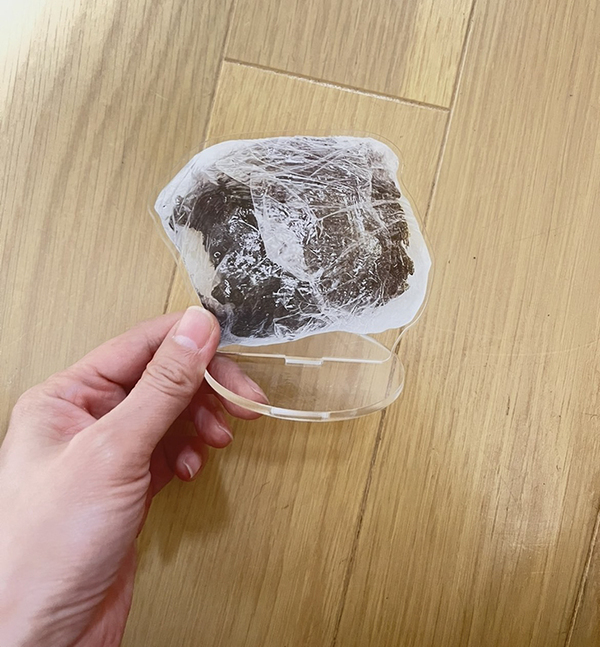 母「息子のおにぎりを一生残したい」　とった行動に「天才か？」「待って、自分もやる！」