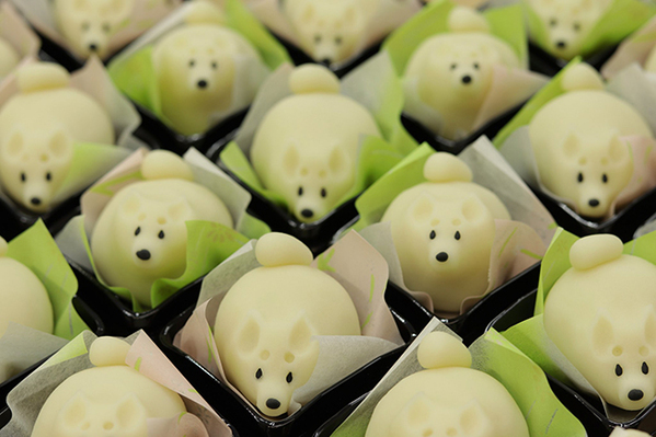 ３色そろった『柴犬』和菓子に「圧巻だ…」　白シバだけの写真では？