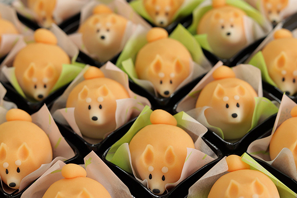 ３色そろった『柴犬』和菓子に「圧巻だ…」　白シバだけの写真では？