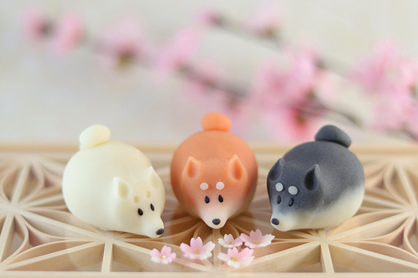３色そろった『柴犬』和菓子に「圧巻だ…」　白シバだけの写真では？