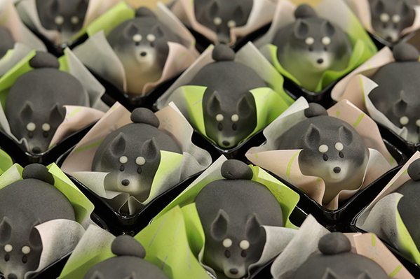 ３色そろった『柴犬』和菓子に「圧巻だ…」　白シバだけの写真では？