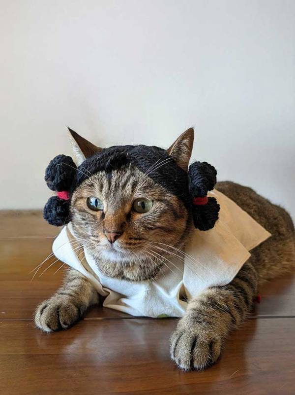 売れなかった品が大人気に？　驚く製作者に「一瞬で心を奪われた」