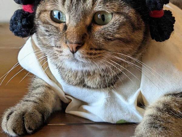 売れなかった品が大人気に？　驚く製作者に「一瞬で心を奪われた」