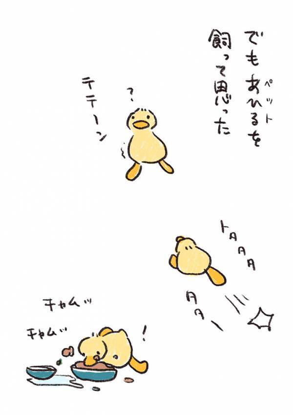 赤ちゃんを見て『いいねぇ～』ってどういう意味？　アヒルを飼って分かったこととは