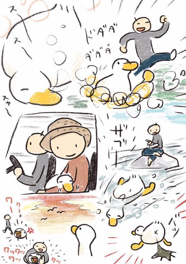 赤ちゃんを見て『いいねぇ～』ってどういう意味？　アヒルを飼って分かったこととは