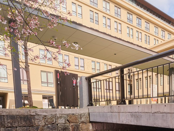 小学校前に出現した『花いかだ』　美しすぎる光景に「いいな」「通いたい！」