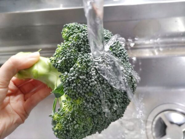 水を入れた袋に漬けて『３分』　するとブロッコリーが…？