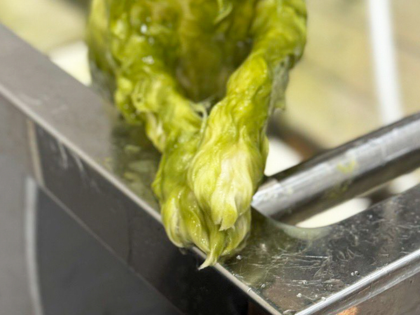 すまし顔で風呂に入るのは？　その姿に「新種の生き物！？」「五度見した」