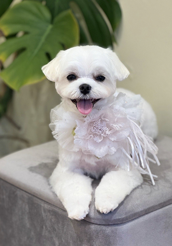 すまし顔で風呂に入るのは？　その姿に「新種の生き物！？」「五度見した」