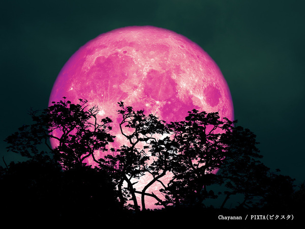年に一度の『ピンクムーン』がいよいよ！　月を見て、願いを叶えよう