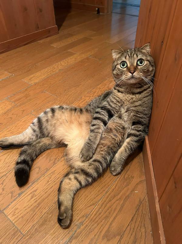 「実は兄弟なんです」　証拠の写真に「笑った」「間違いないわ」