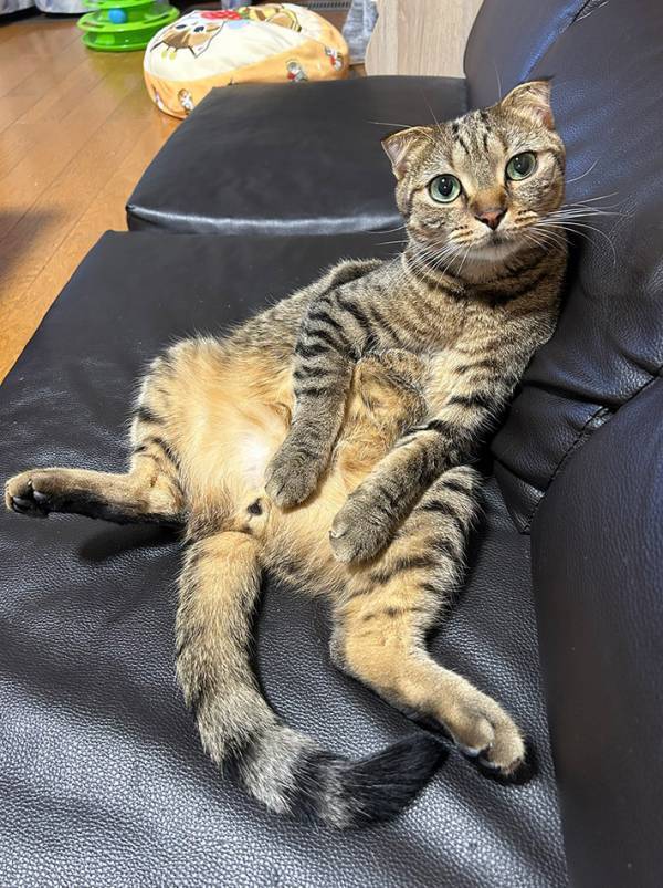 「実は兄弟なんです」　証拠の写真に「笑った」「間違いないわ」