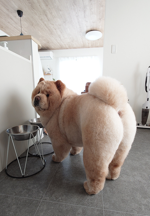 「とれたての桃です」　写った光景に「見事な完熟」「どこで食べられますか？」