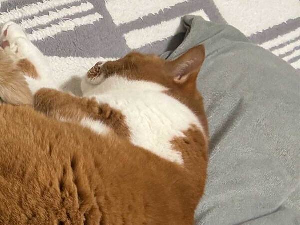 起きてビックリ　手の写真に「笑った」「画像加工してる？」