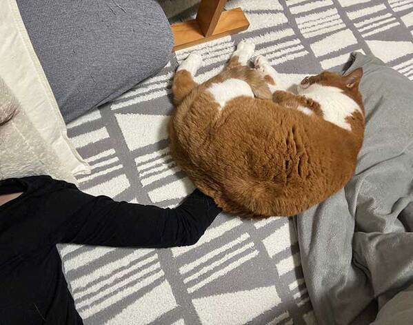 起きてビックリ　手の写真に「笑った」「画像加工してる？」