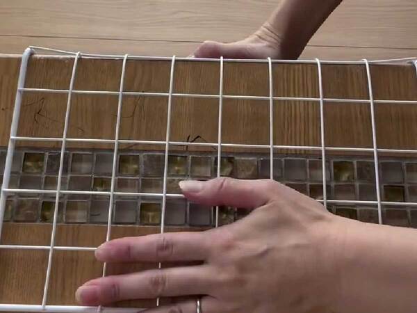 『ダイソー』のワイヤーネット　折り曲げるだけで？　「目からウロコ」