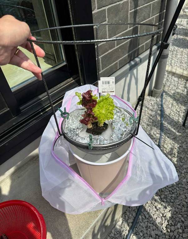 １００均の洗濯ネット　まさかの活用法に「頭がいい」「真似をします」