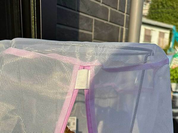 １００均の洗濯ネット　まさかの活用法に「頭がいい」「真似をします」