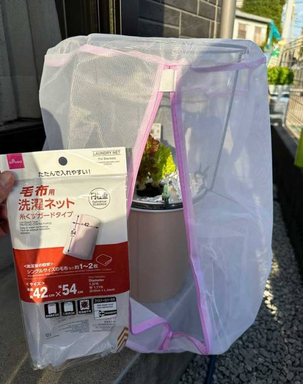 １００均の洗濯ネット　まさかの活用法に「頭がいい」「真似をします」