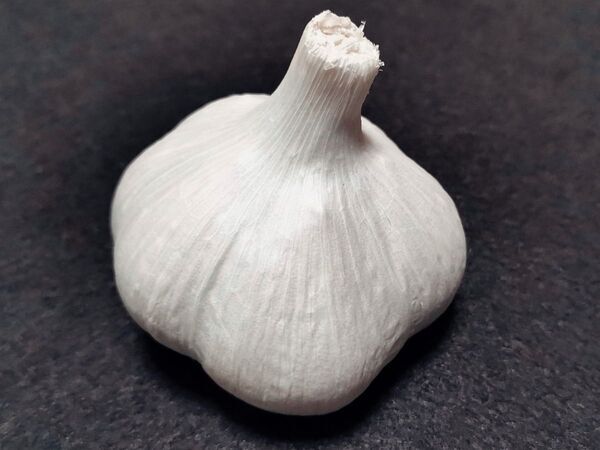 ニンニクはどうやって保存してる？　長持ちさせたいなら…　「便利そう！」