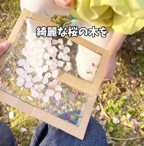 厚紙に透明テープを貼って…　できたものに「素敵すぎる」「やってみます！」