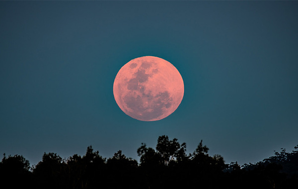 ２０２５年の『ピンクムーン』がやってくる！　特別な満月に何を願う？