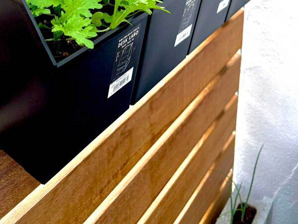 １００均のレターボックス　活用術に「すごい発想」「早速やる」